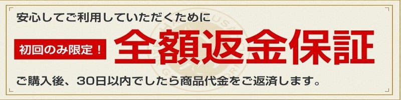 ���ЂƈႢ���o����I�I��э�HAYABUSA���T�C�g